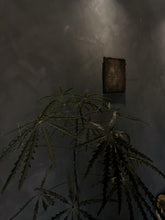 Load image into Gallery viewer, Pamela Tang - Abstract #181