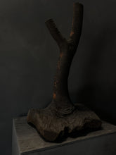 Load image into Gallery viewer, ANTIQUE CHARRED BRANCH CANDLE HOLDER
